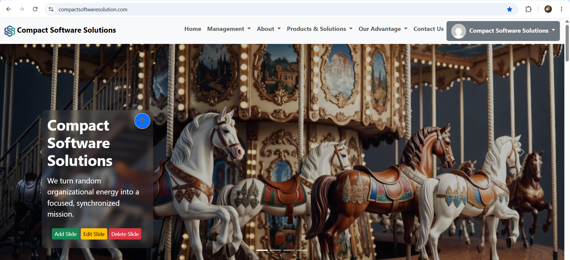  Compact Dynamic Website Solutions 